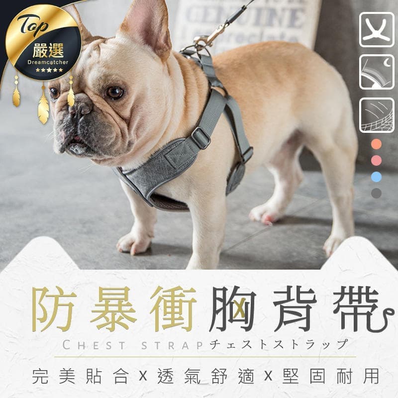 狗牽繩推薦商品實拍