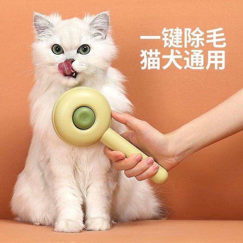貓咪溫和無淚配方洗毛精評測｜寵物洗毛精推薦給怕水的毛孩