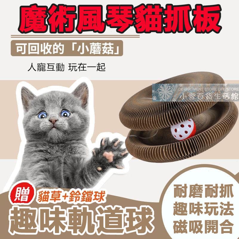 瓦楞紙貓抓板大號評測｜159元根本佛心價！貓咪愛到不行