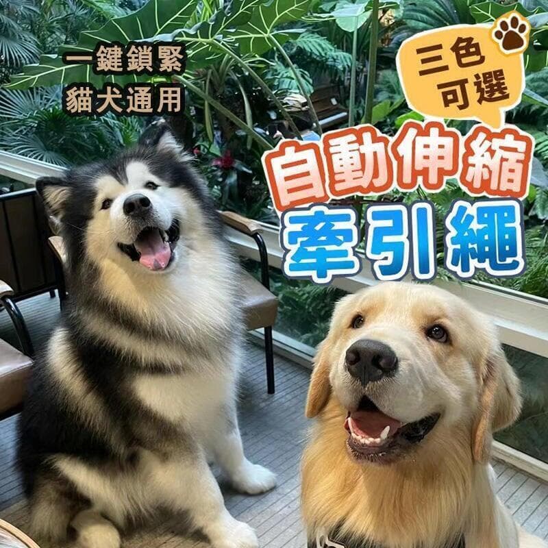 狗狗牽繩推薦商品實拍